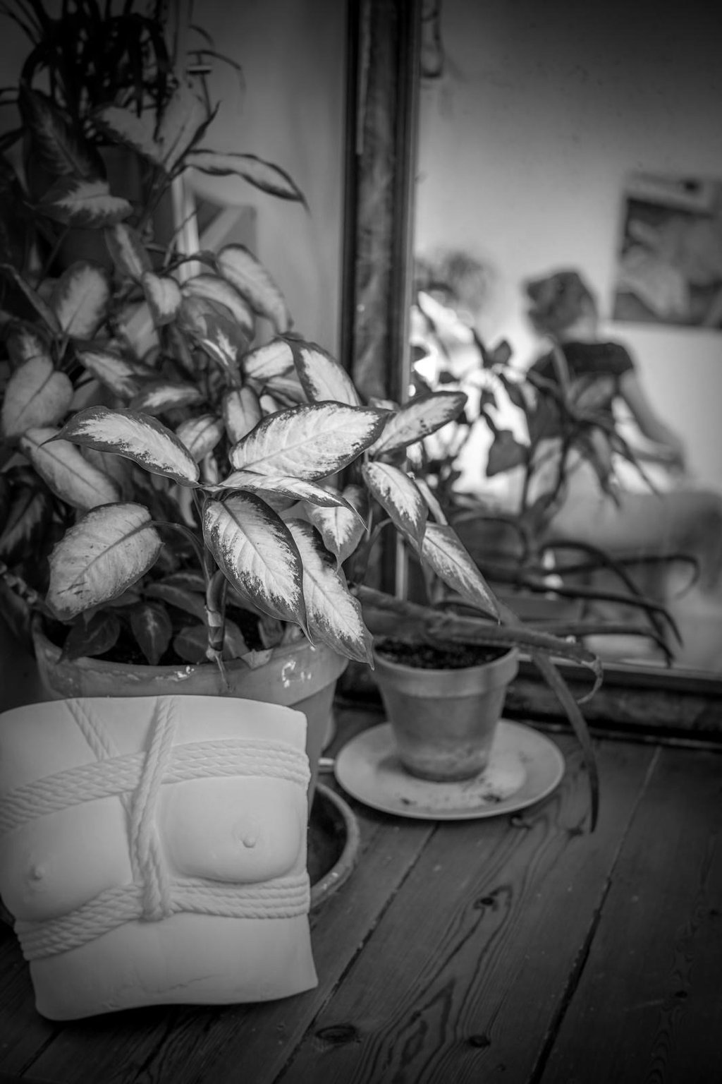 Moulage poitrine shibari  - Moulage intime Bordeaux