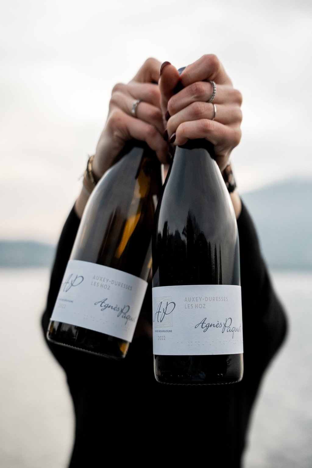 sélection de vins rares et millésimes a Annecy