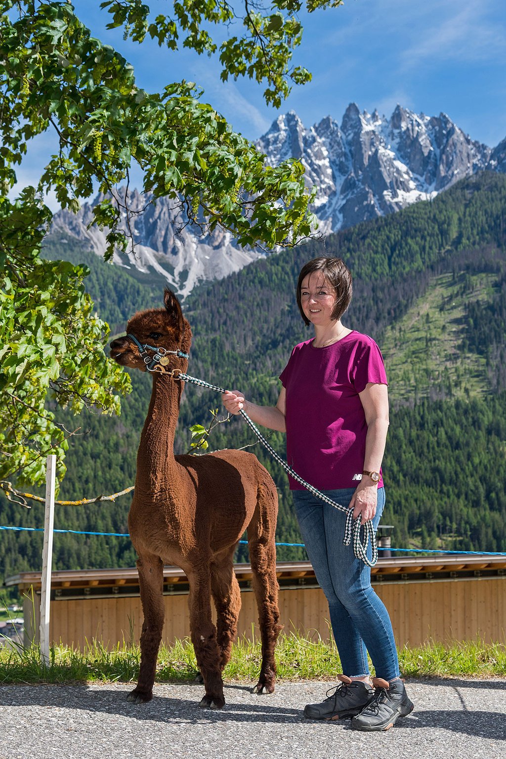 Karin and the Alpaca in front of the Dolomites