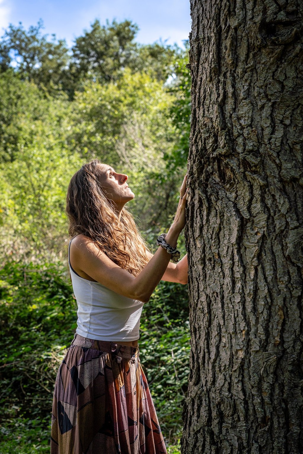 chamanisme holistique