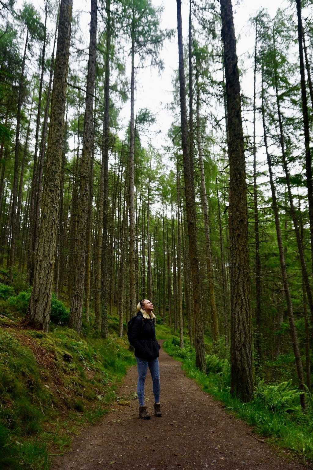 Coach Moll in a forest looking up at the trees