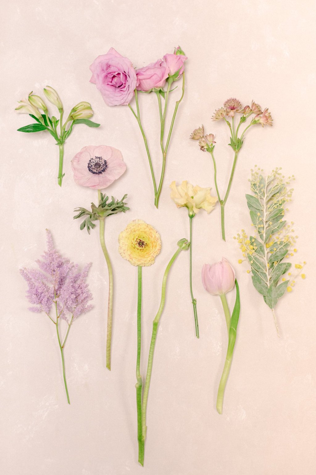 flatlay fleurs françaises d'hiver pastel jaune mauve