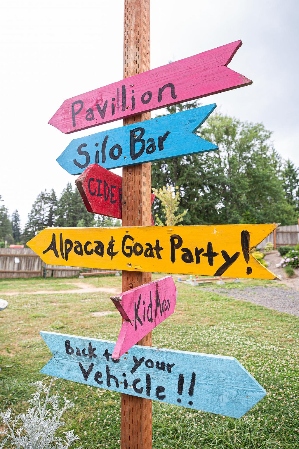 Colorful wooden directional farm signs for Pavilion, Silo Bar, and Alpaca & Goat Party.