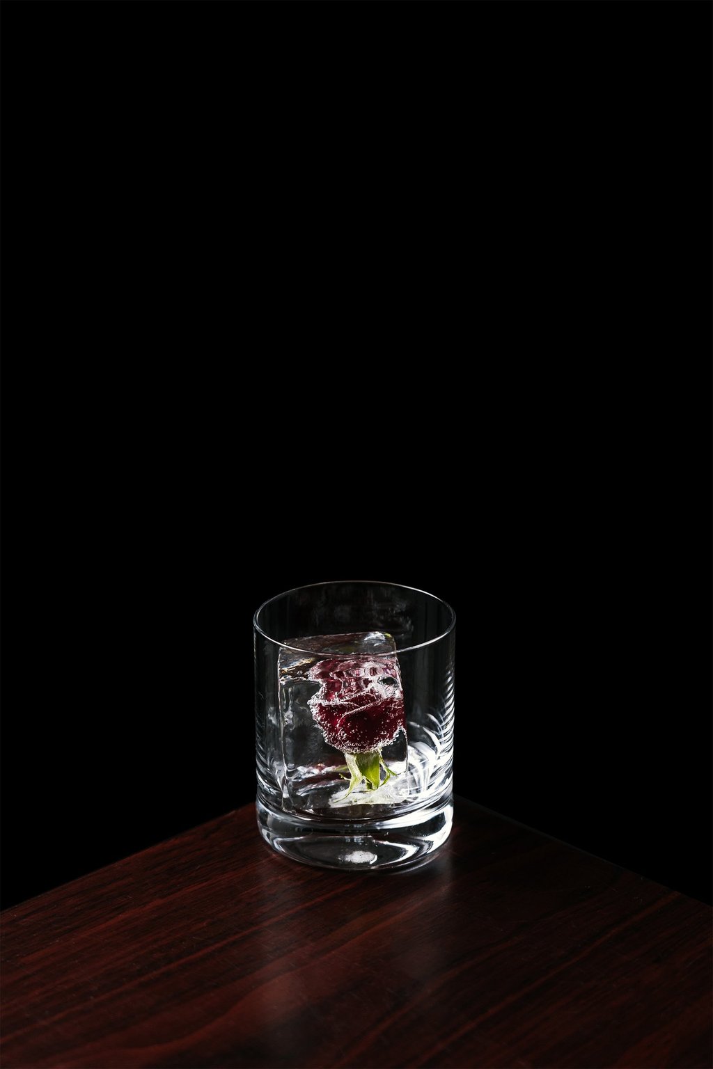 Rožės žiedas lede