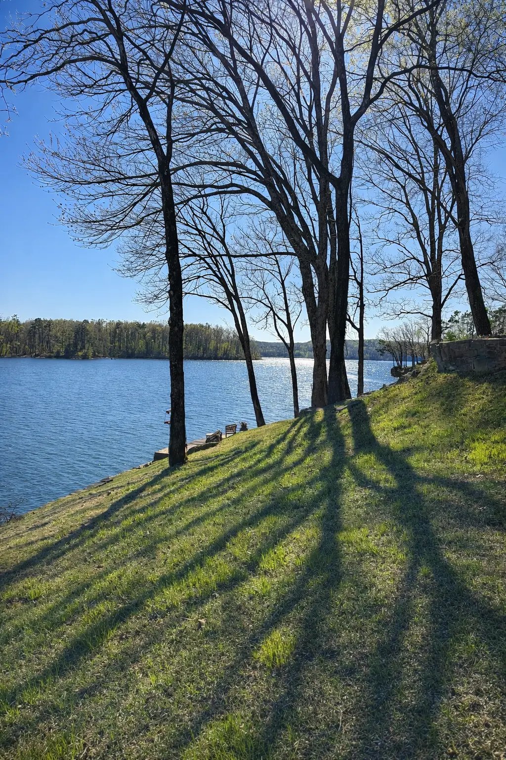 After Tree and Limb removal on a Pickwick Lake Home