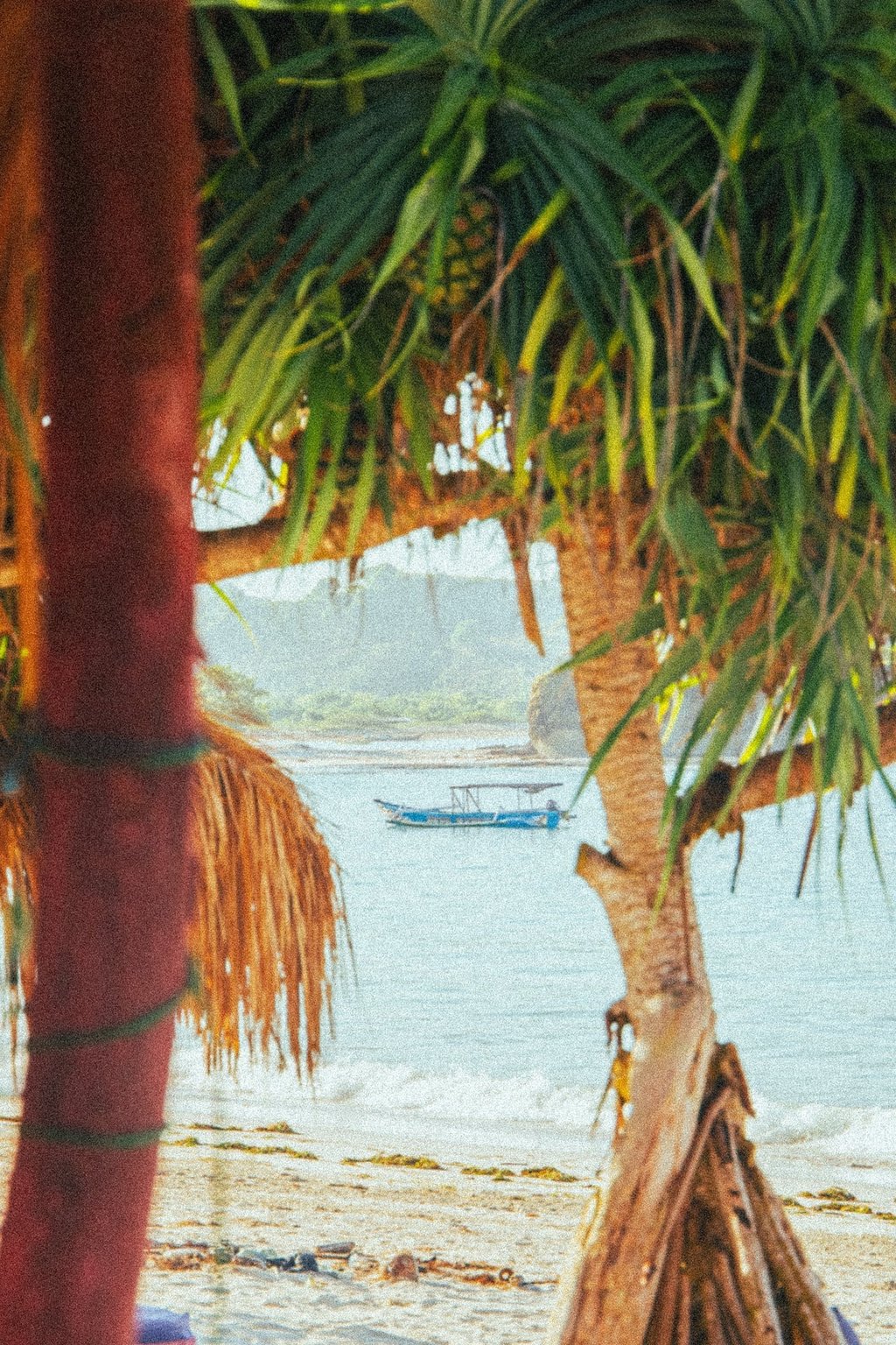 A traditional blue boat floating in Tanjung Aan Beach viewed through coastal palm trees, in Kuta