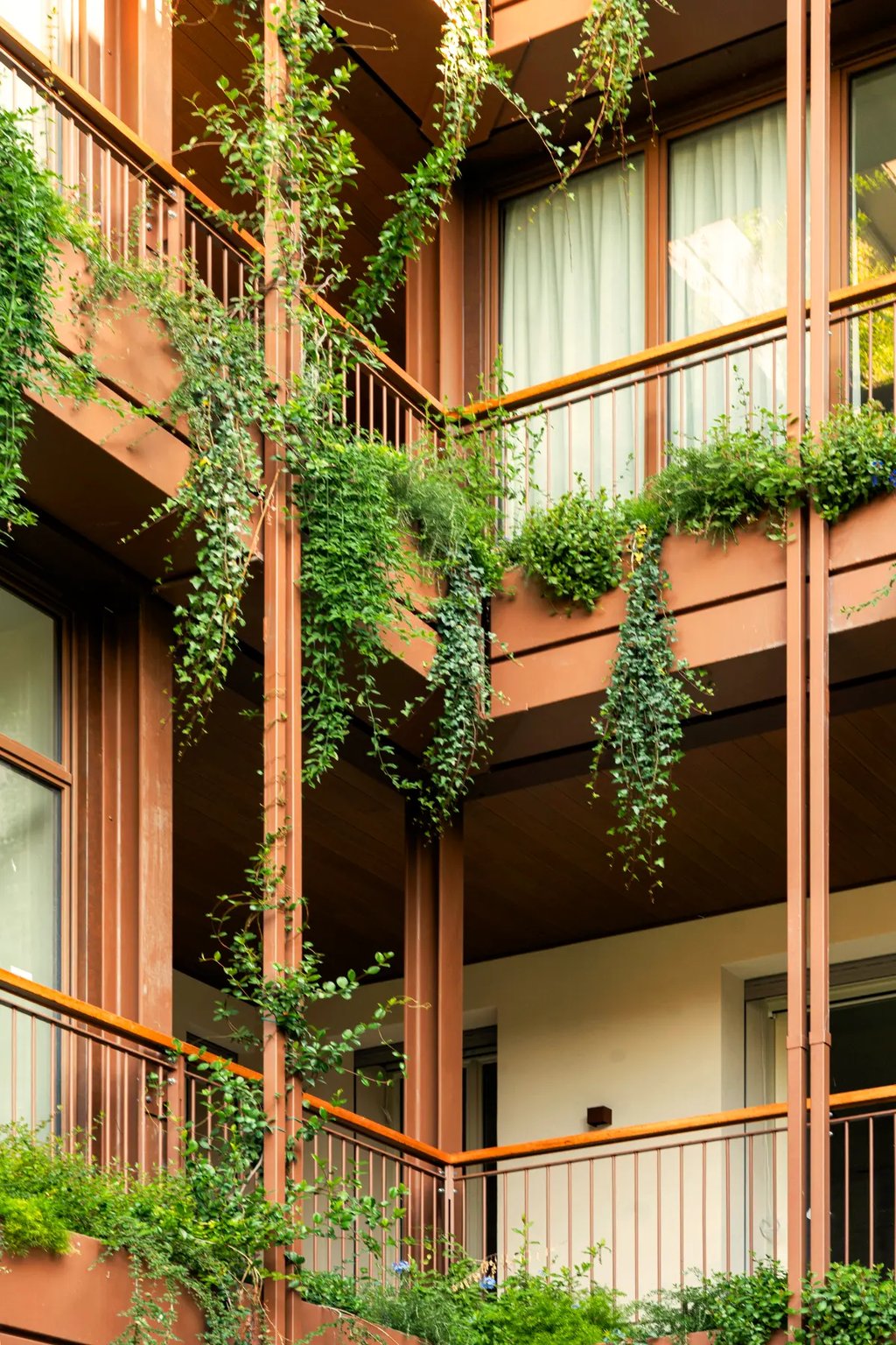Dettaglio delle logge di Palazzo CorteVerdi: piante rampicanti e arbusti progettati da AG&P greenscape a Cremona.
