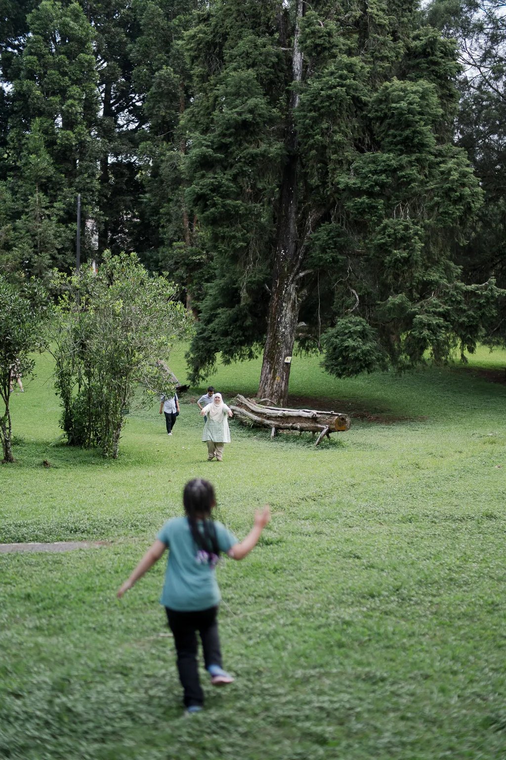Child exploring the open garden area during a family photography session at Botanical Garden Bedugul.