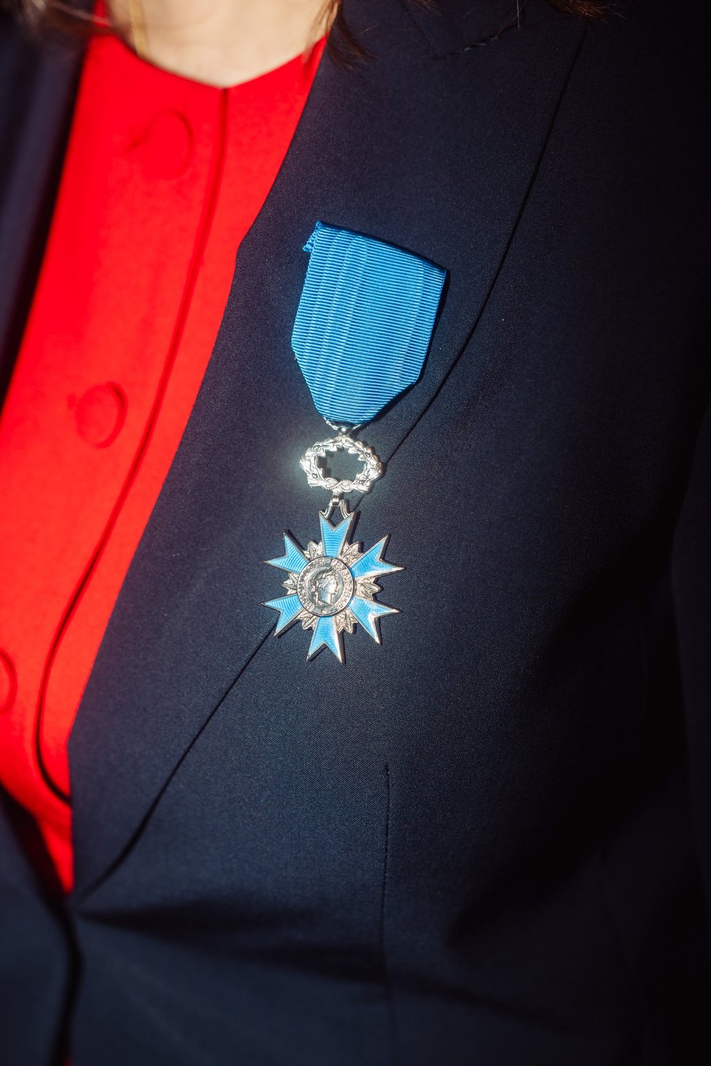 Insignes de chevalier de l'ordre national du Mérite