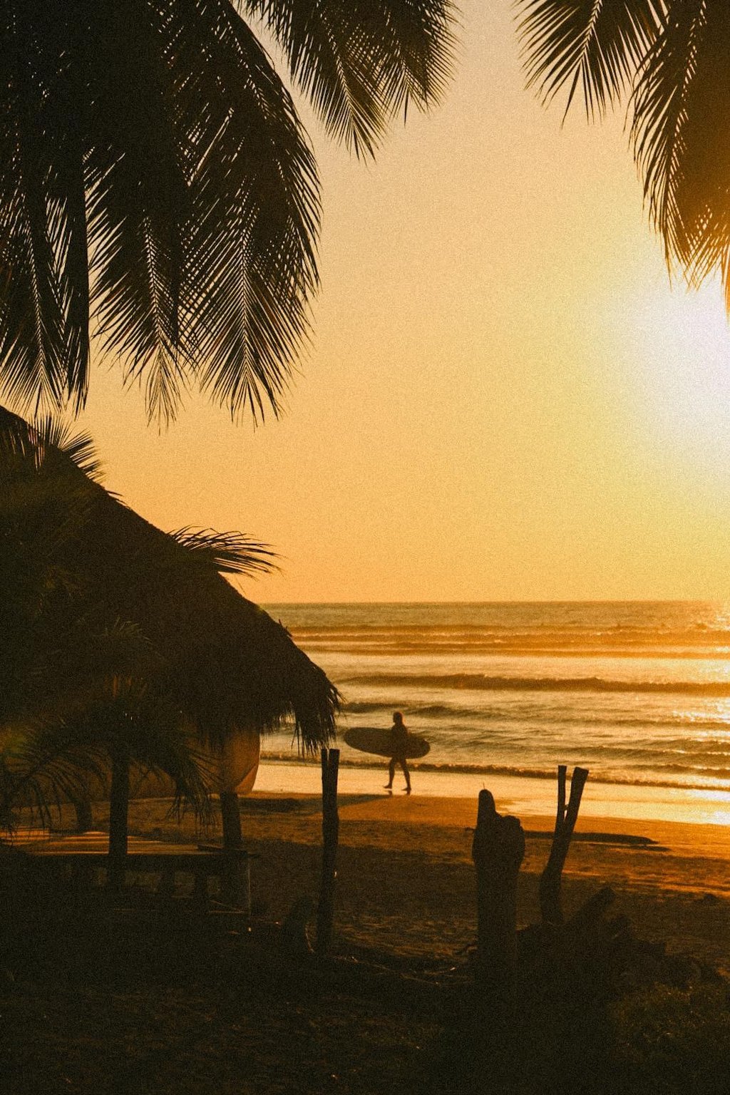 Beach in La Saladita