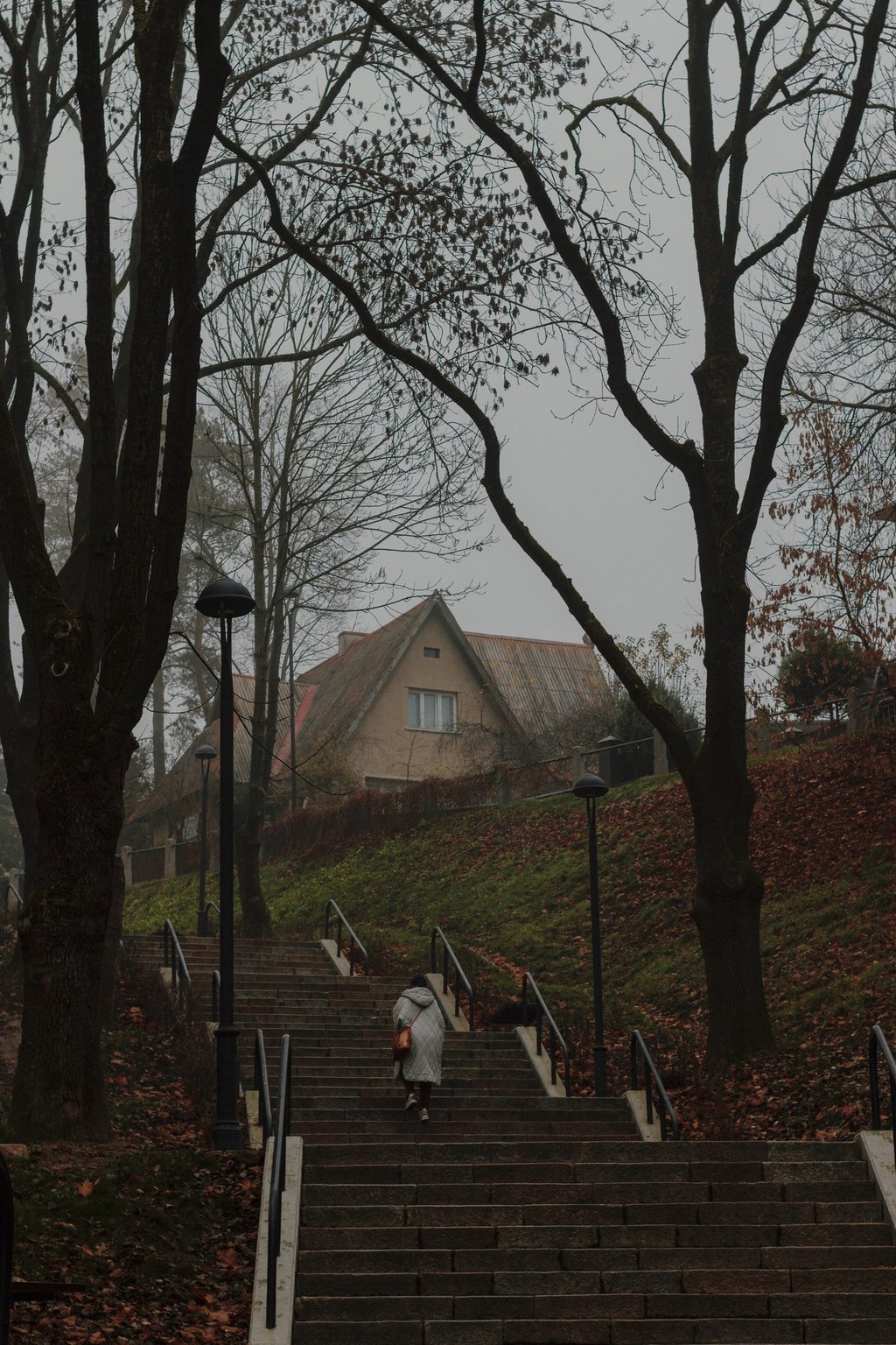 Viktorijos Šaulytės nuotrauka Kauko laiptai Kai Aistis kultūrą statė Giedrė Kaziliūnaitė