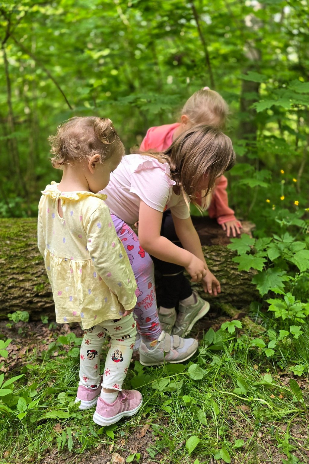 Vaikai žaidžia lauko darželyje