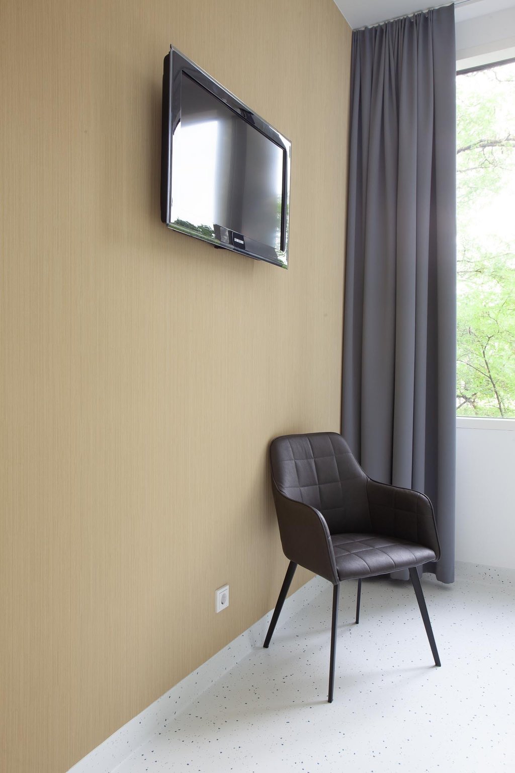 Vescom hauki palatoje