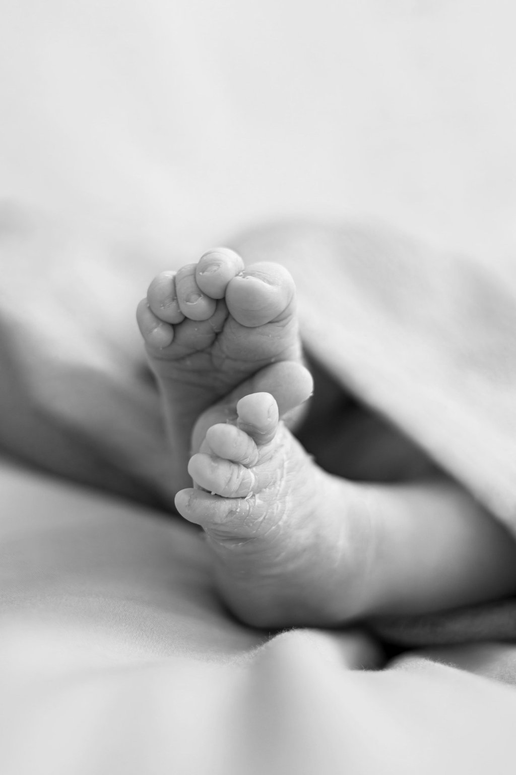Detall dels peus d'un bebè nounat en una sessió de fotos newborn a Girona en estudi fotogràfic