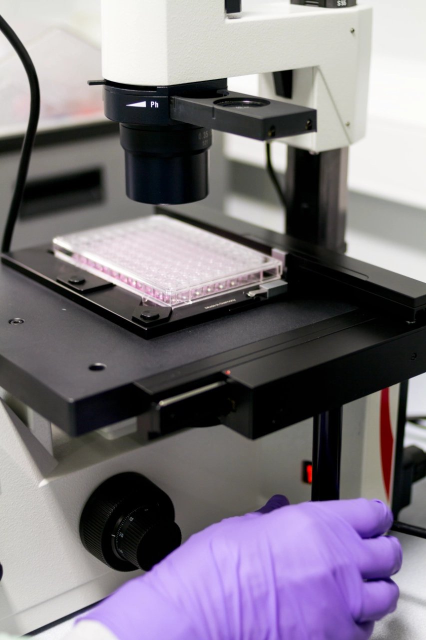 Fotografia corporativa llavoretes social media para proyectos investigación científica laboratorios