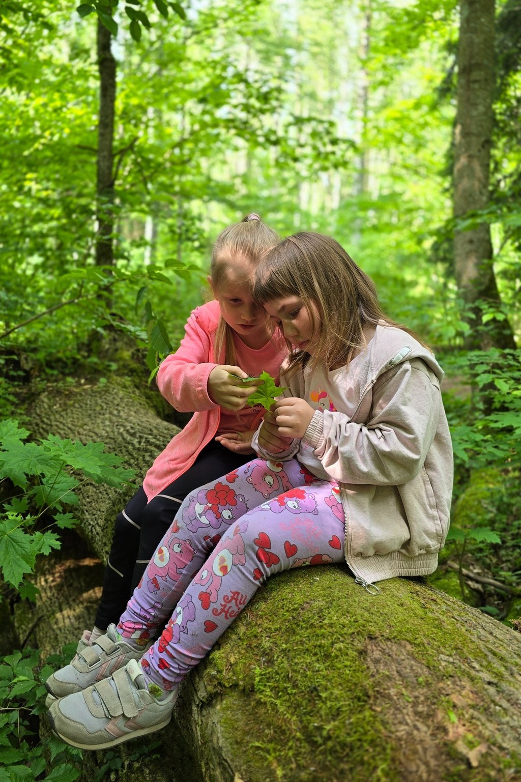 Mergaitės Buktos pažintiniame take