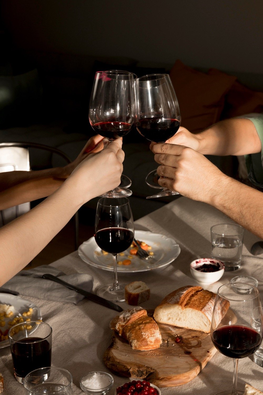 Guests toasting with Malbec wine glasses at an intimate wine tasting in Buenos Aires