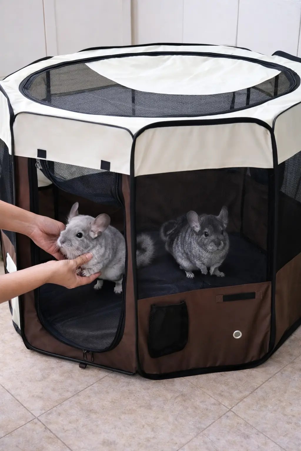 enclos sécurisé pour petits animaux le temps du nettoyage