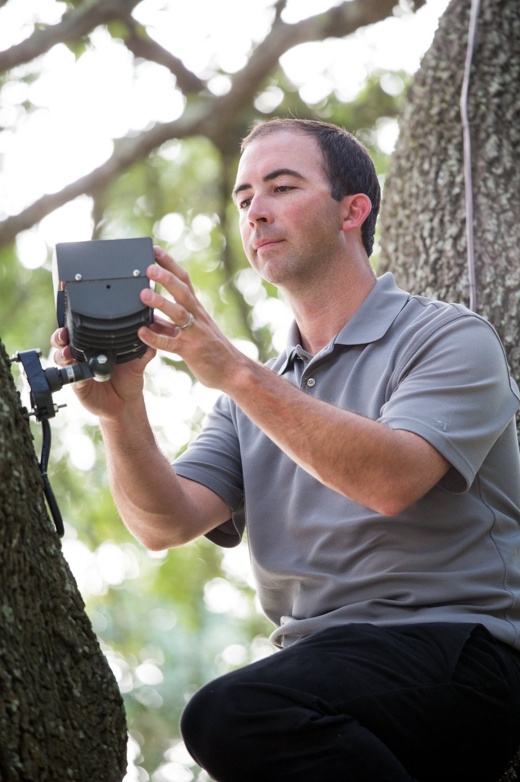 landscape lighting technician servicing a light in tree