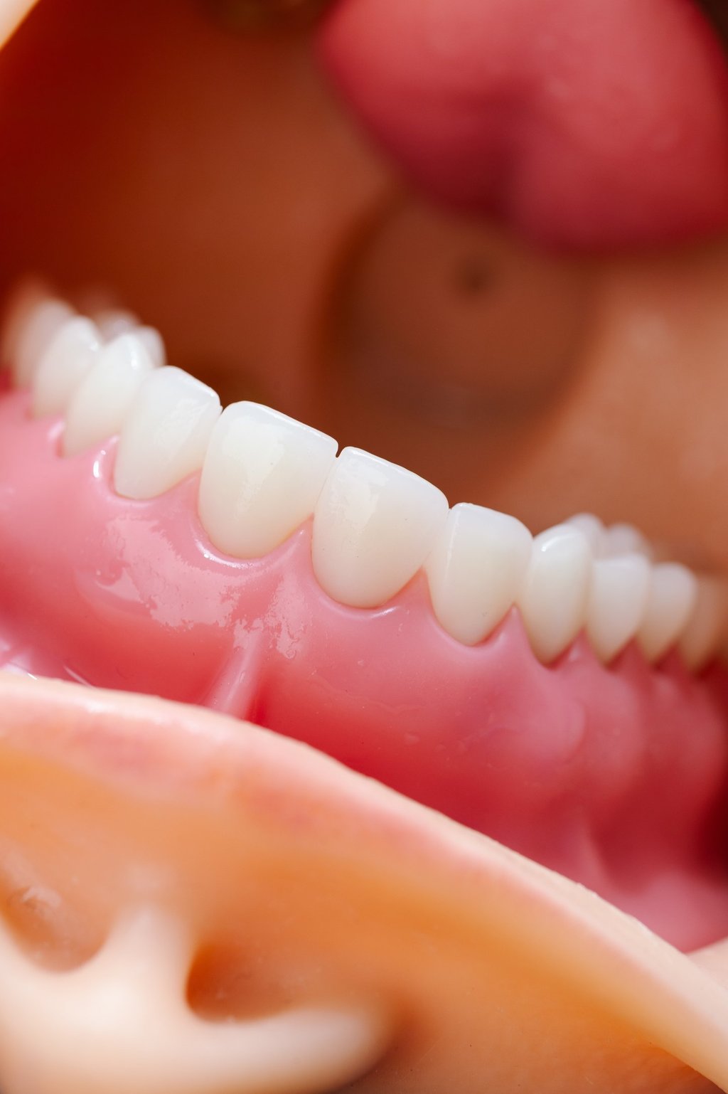 Dientes intercambiables Set completo de 28 dientes reemplazables, compatibles con el modelo TOM.