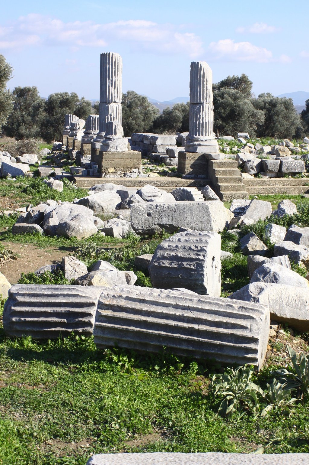 The ancient city of Teos