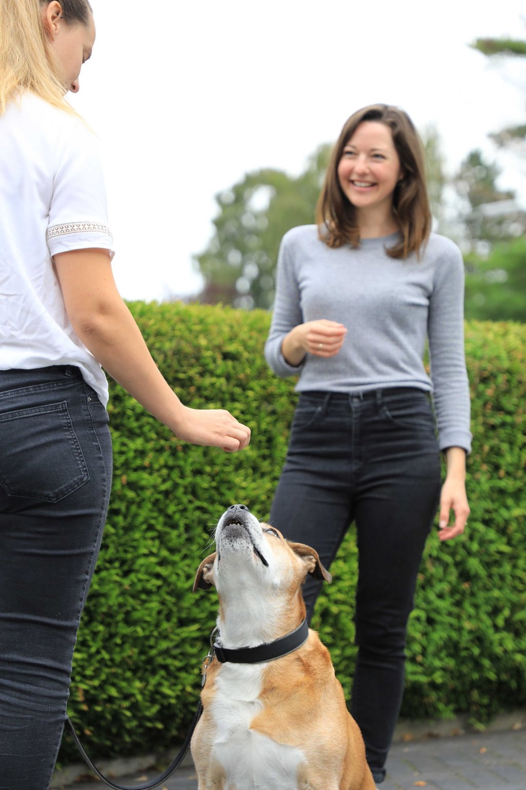 Hundetrainerin erklärt Hundehalterin die Trainingsaufgabe