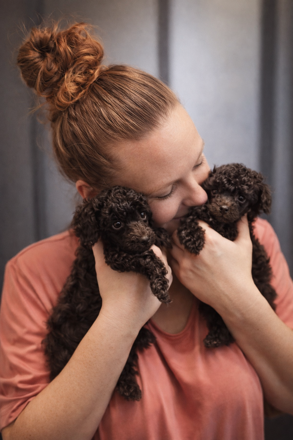 Chiots caniche de l'élevage des rives de riss