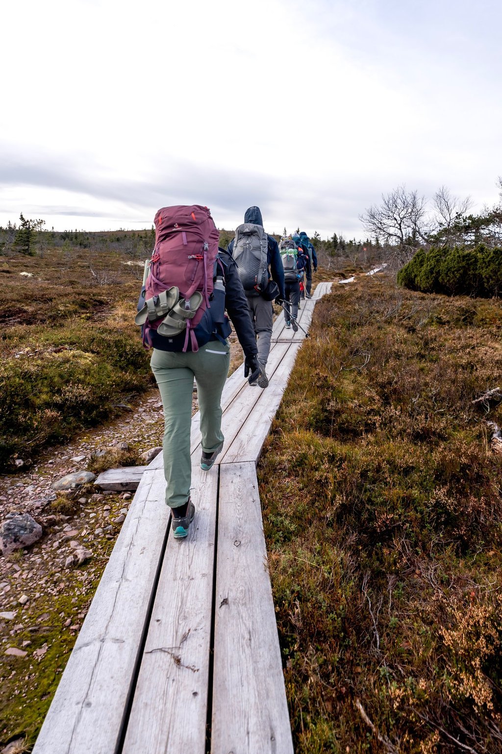 a group of people walking on a wooden decks through the grass fields in Sweden