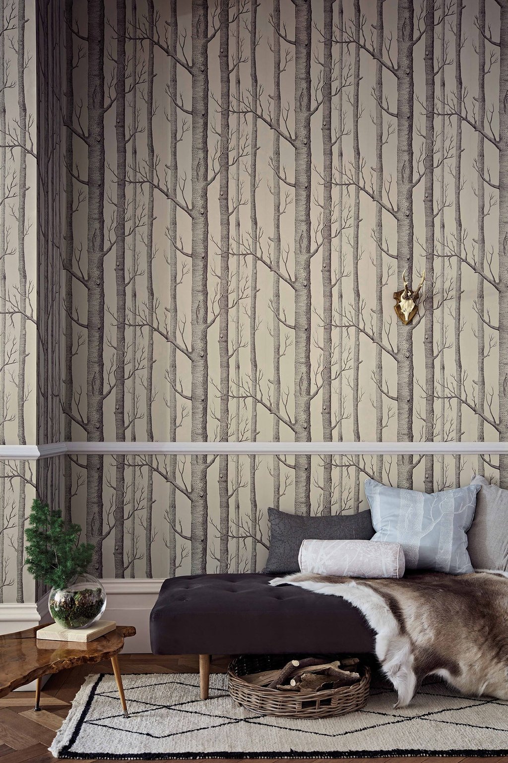 Rustic room featuring birch tree forest wallpaper with a daybed, fur rug, and gold deer head wall decor.