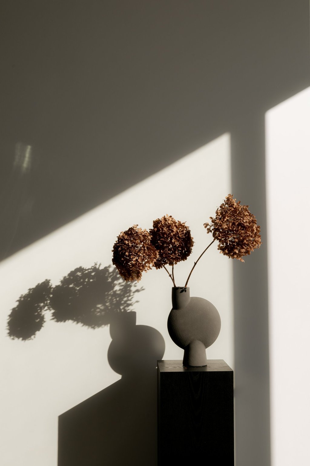 Dried brown hydrangea flowers in a modern ceramic vase on a black pedestal with sunlight and shadows.