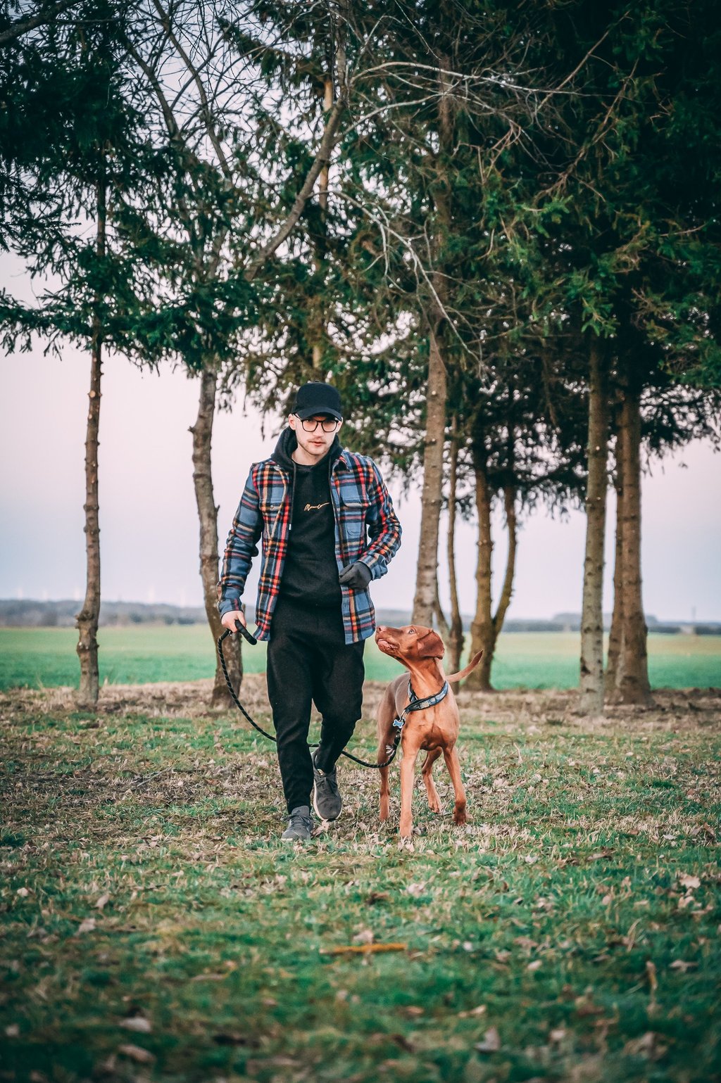 šuo dirba su treneriu