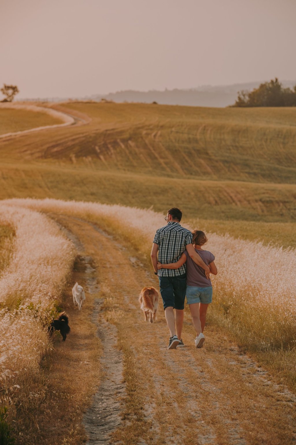 ritratto di famiglia che cammina al tramonto