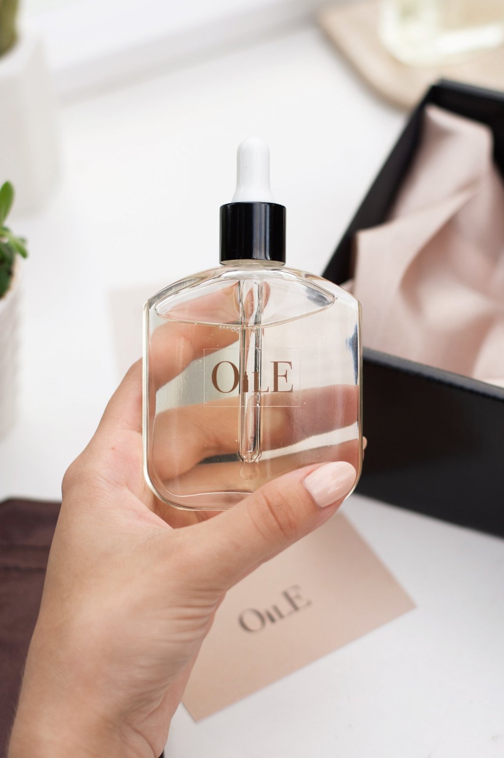 Hand holding a glass bottle of facial oil with a dropper against a minimalist aesthetic background.