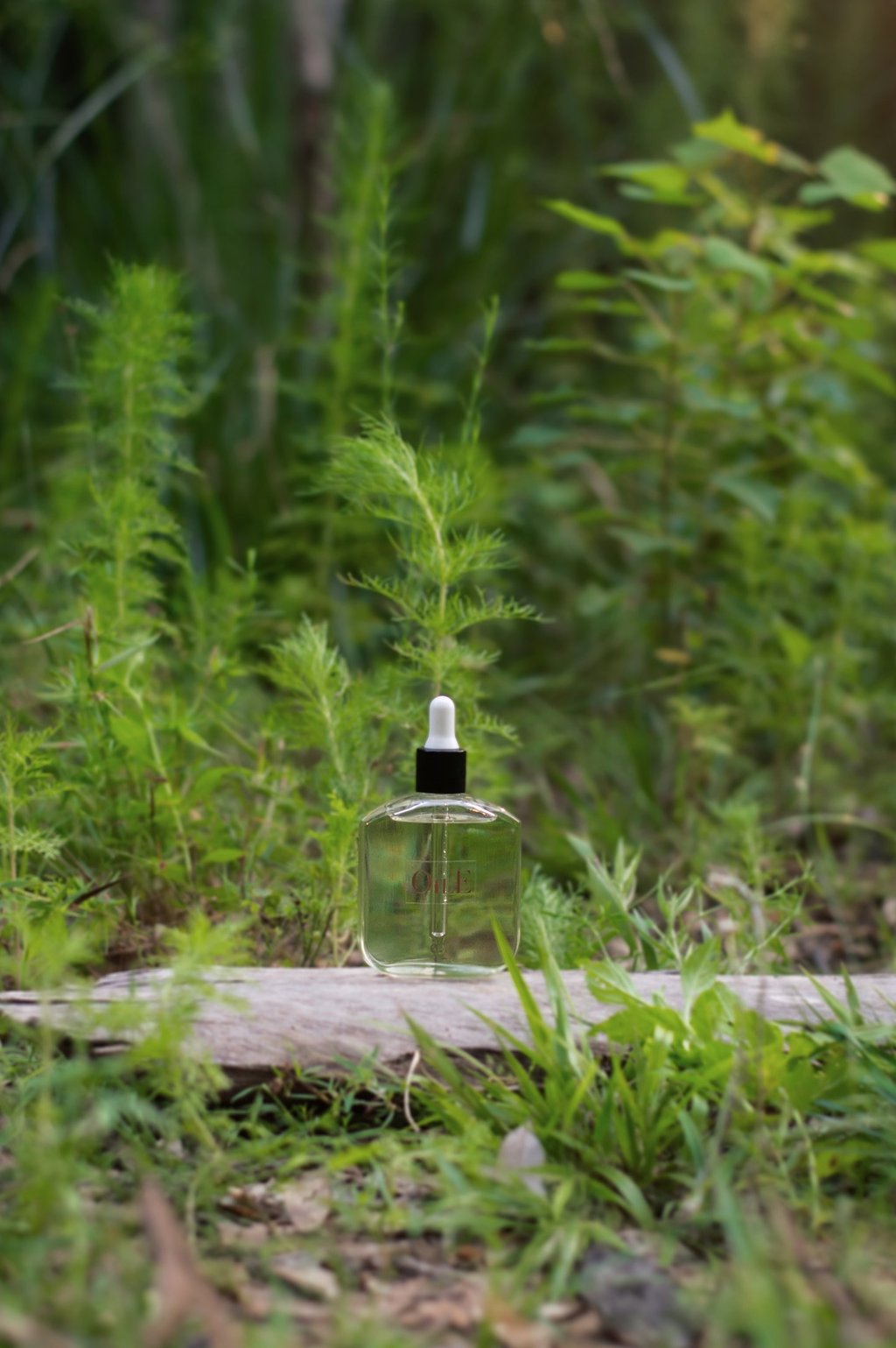 A clear glass dropper bottle of facial oil sitting on a piece of wood in a lush green garden.