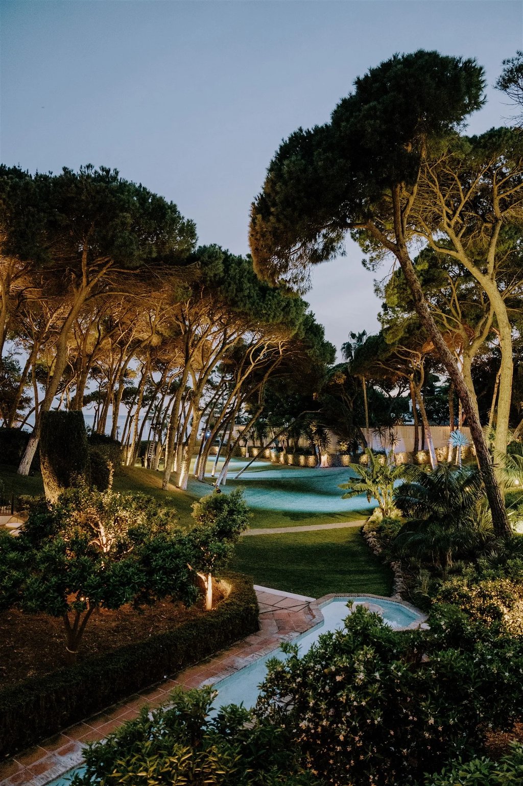 Landscaped gardens at night with mature pine trees and ambient lighting