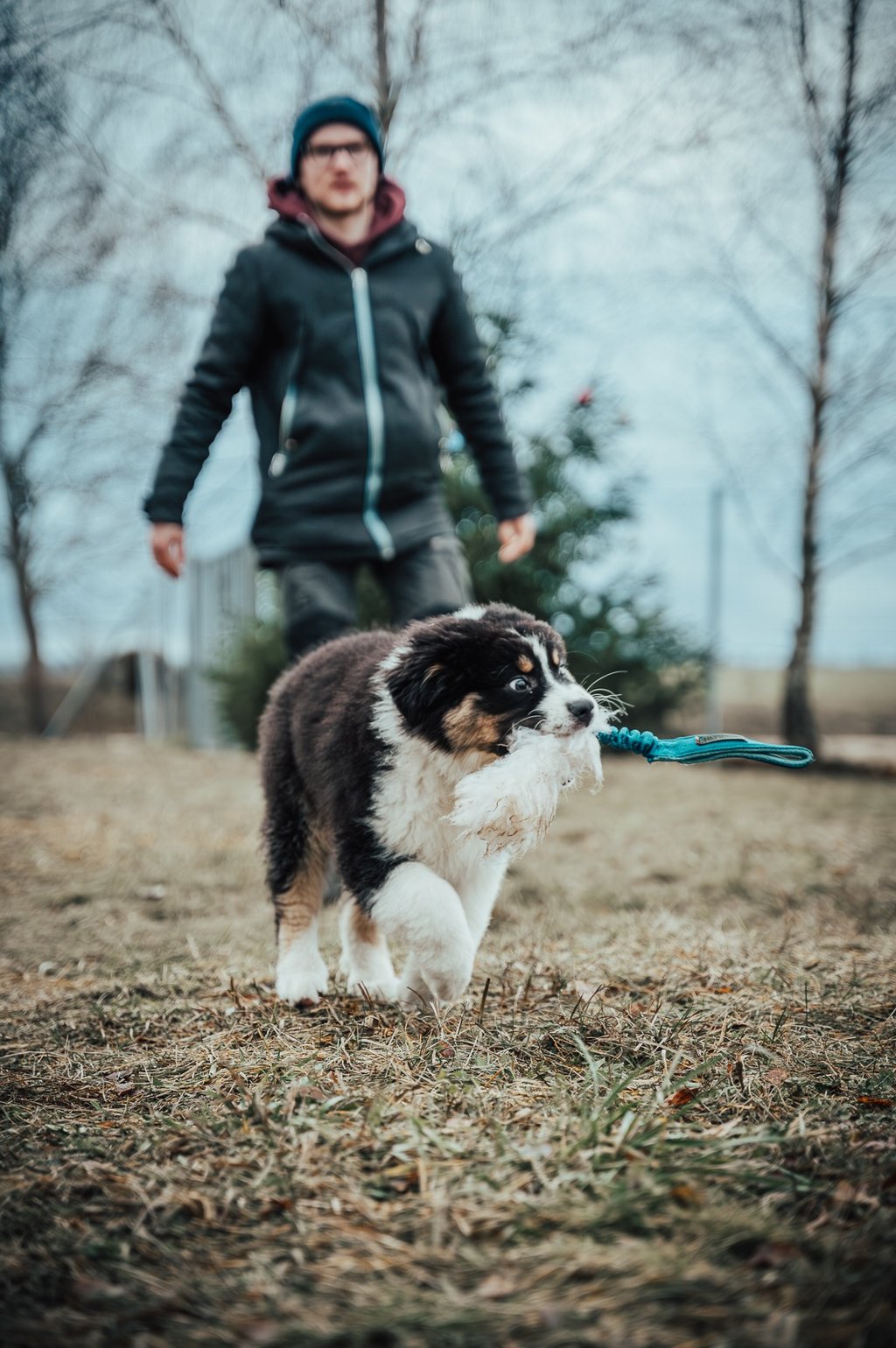 šuniukas mokosi žaisti su treneriu