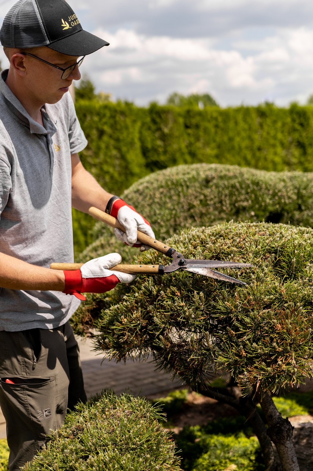 Bonsai augalų karpymas