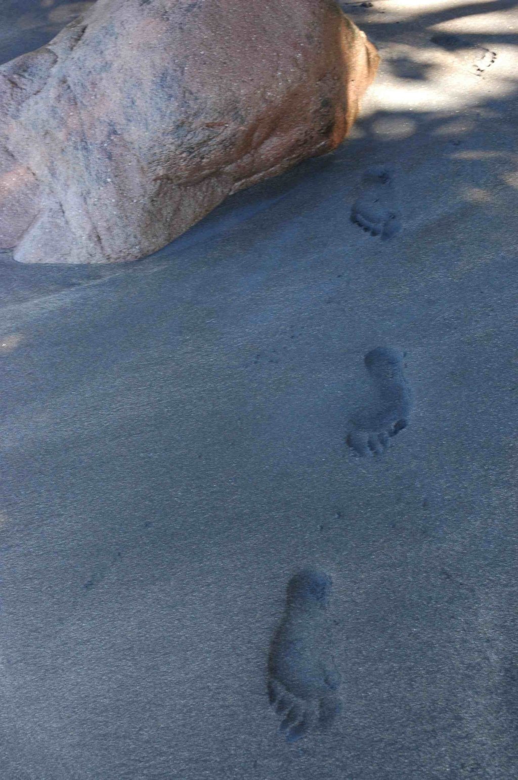Footstep in the sand