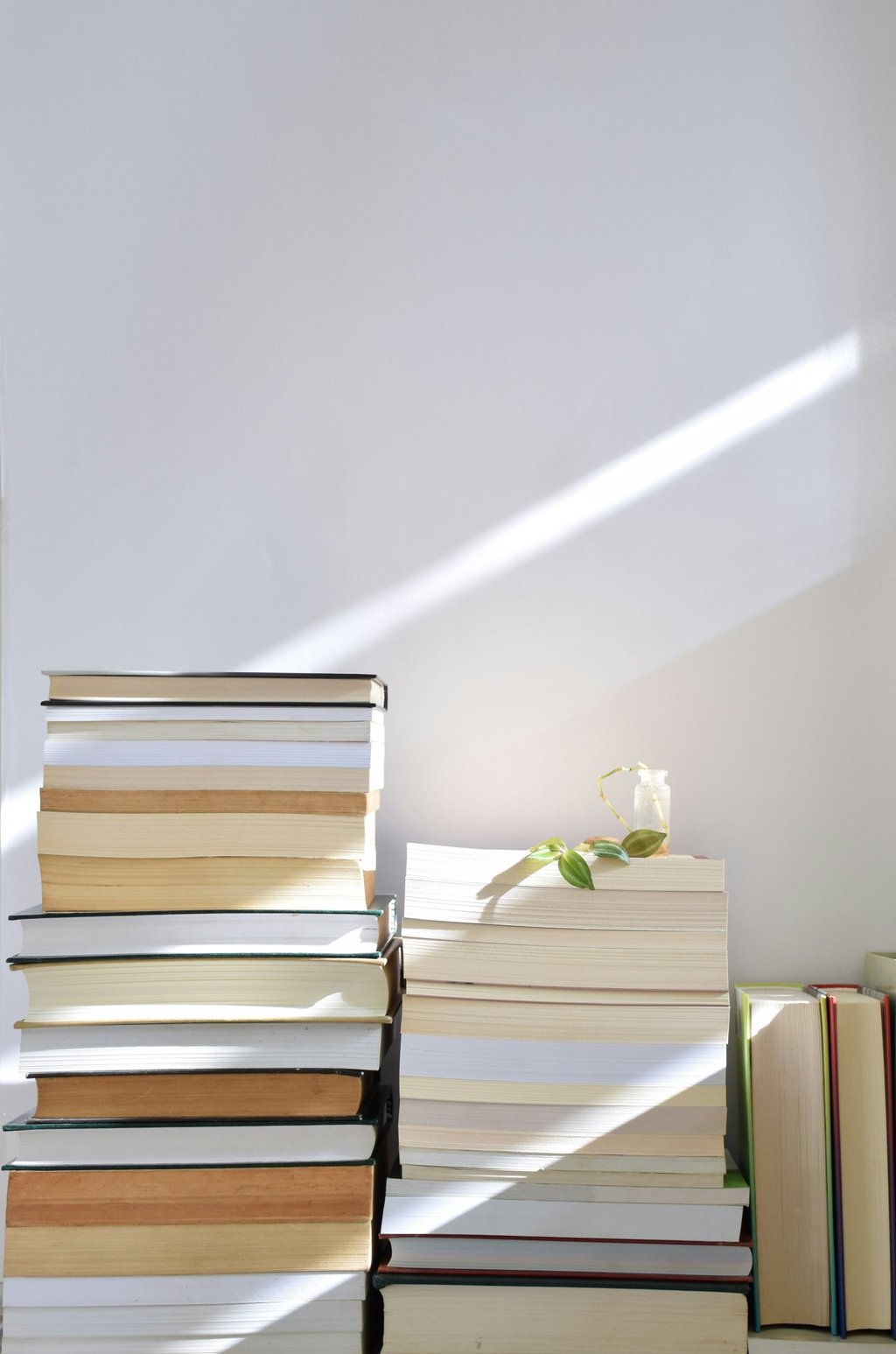 A stack of hardcover and paperback books arranged against a white wall with sunlight and a small plant.