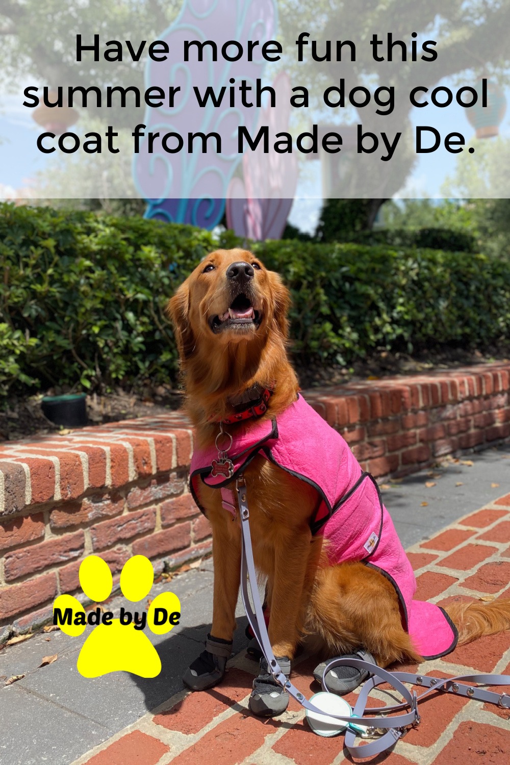 Golden retriever wearing a pink dog cool coat from Made by De to stay hydrated and cool in summer heat.