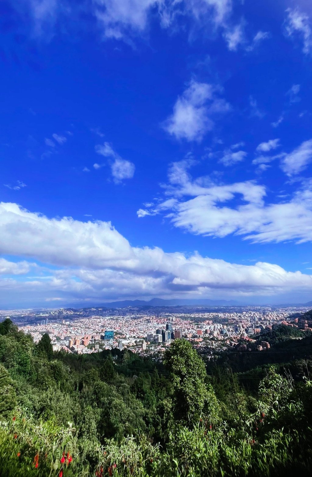 Alto de Patios Qi Team Bogotá