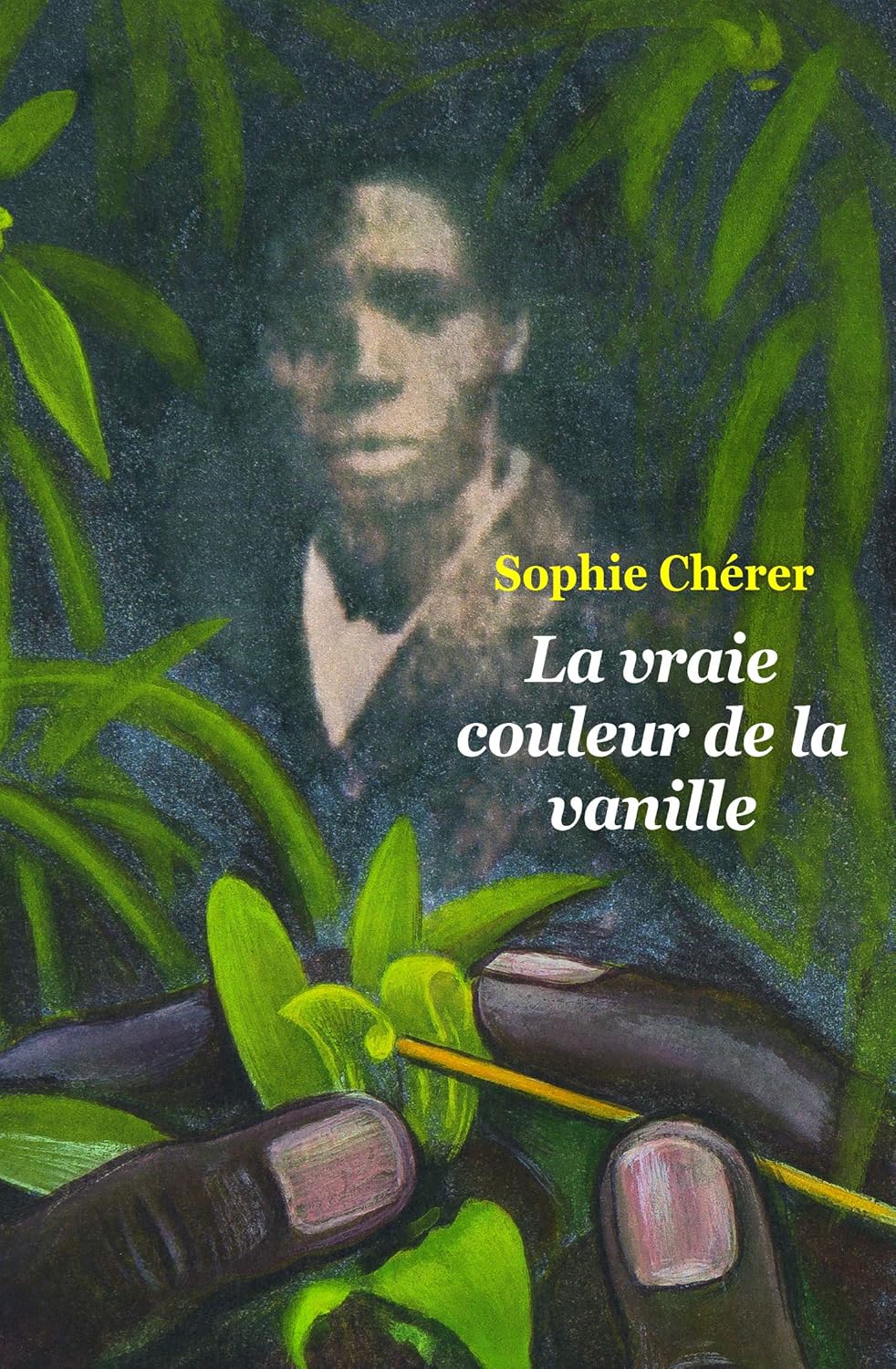 Première de couverture du roman La vraie couleur de la vanille de Sophie Chérer