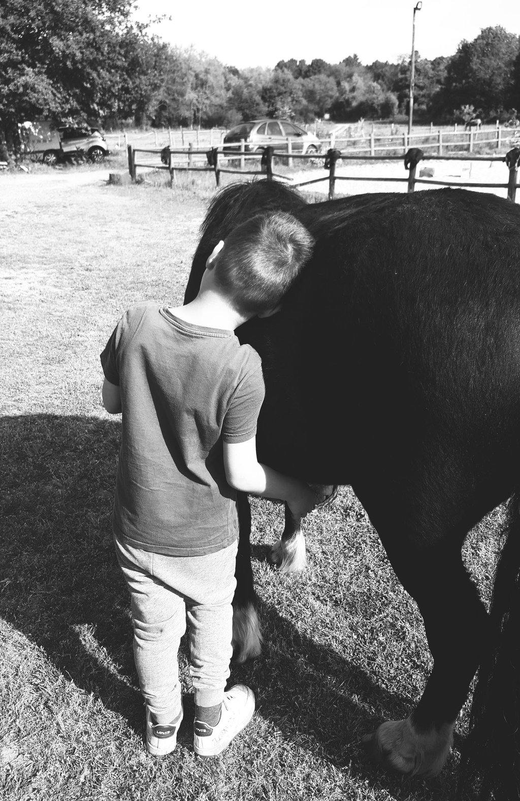 enfant de dos appuyant sa tête contre son poney lors d'une séance d'équithérapie 