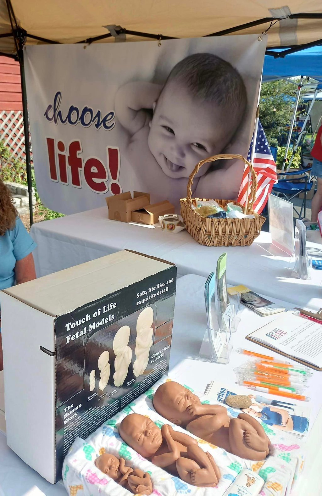 prolife education materials - fetal models