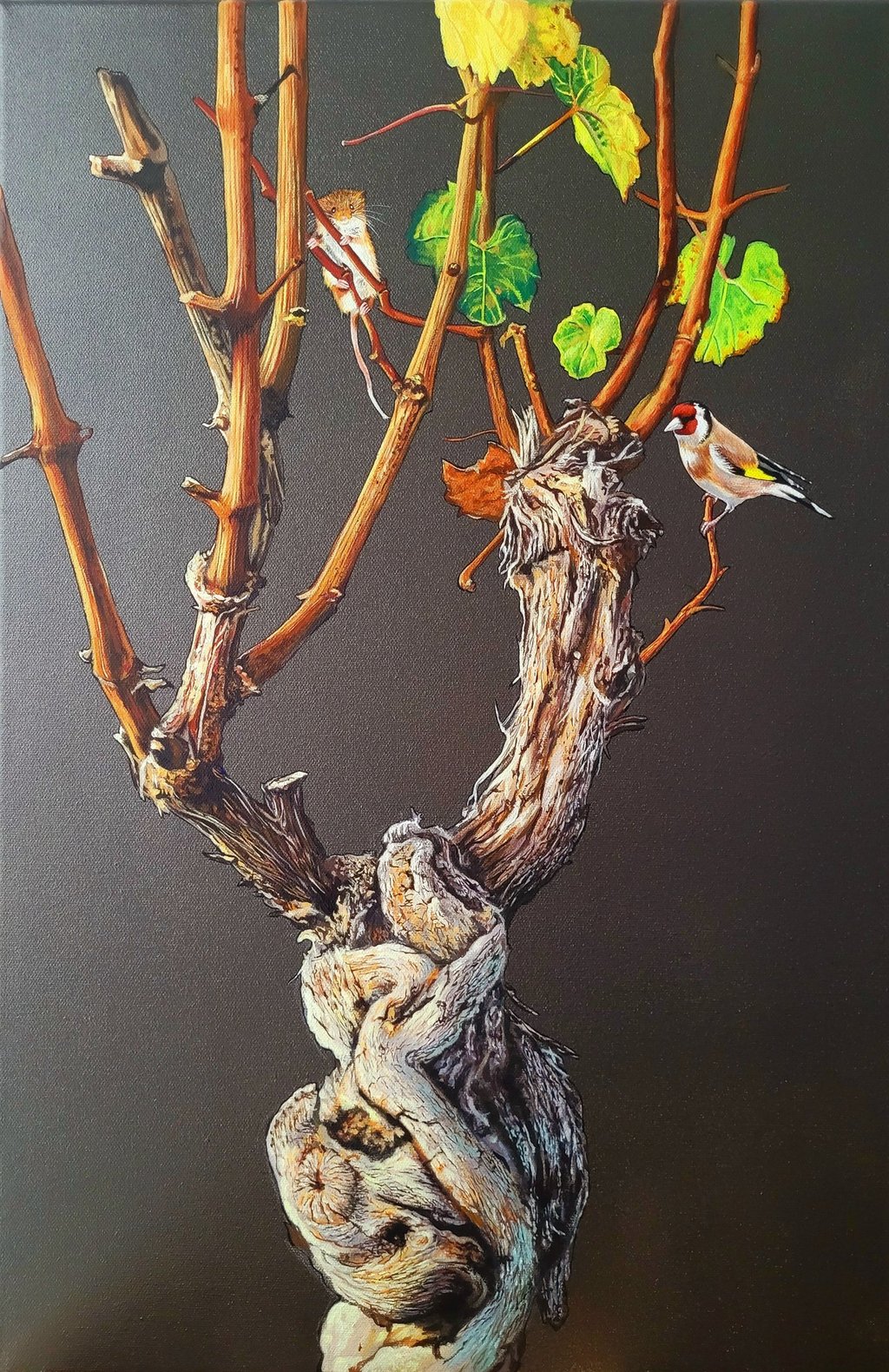 Álvaro Fernández Sáez Weinrebe Vogel Maus