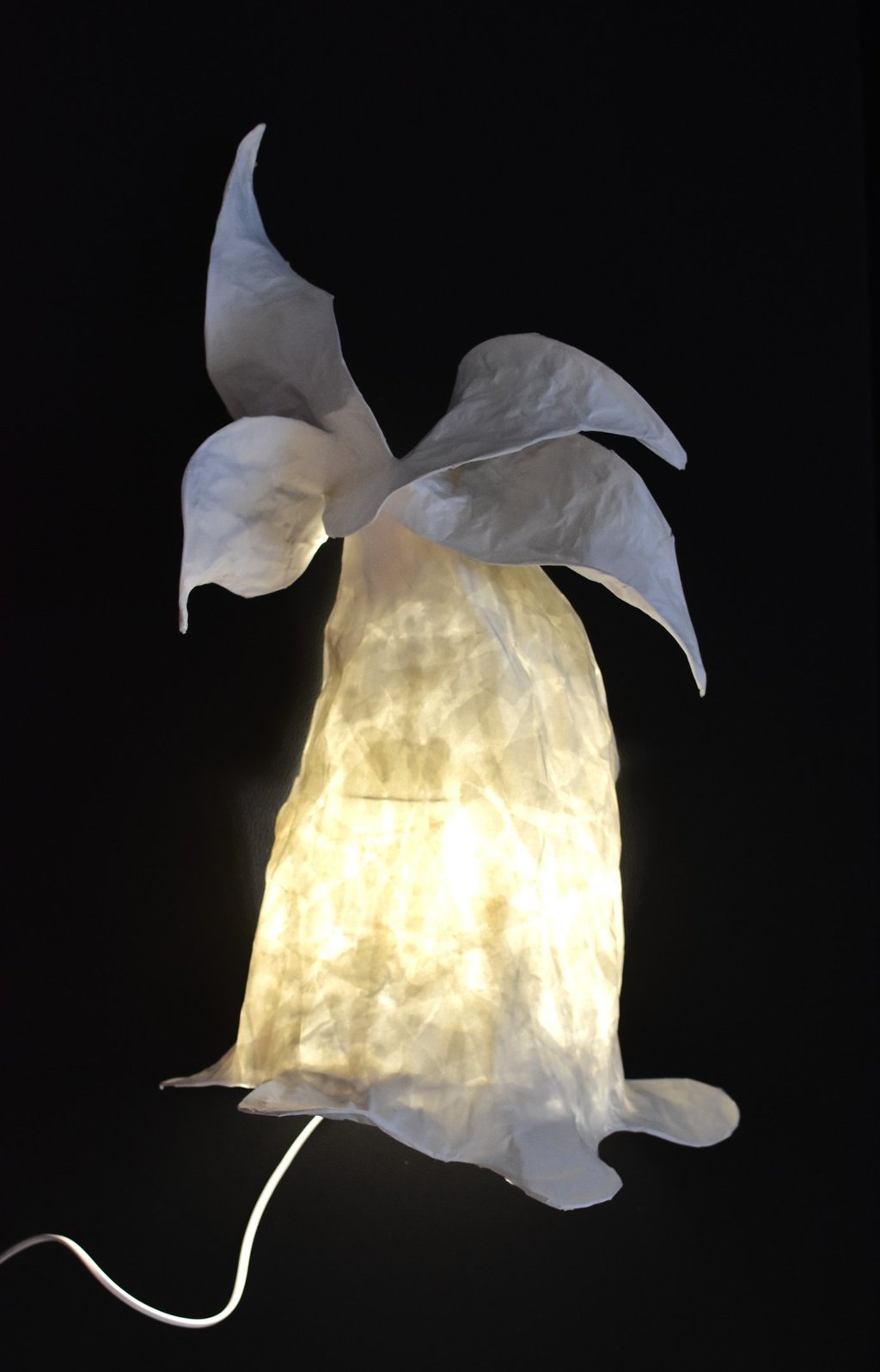 wall narcisse paper sculpture