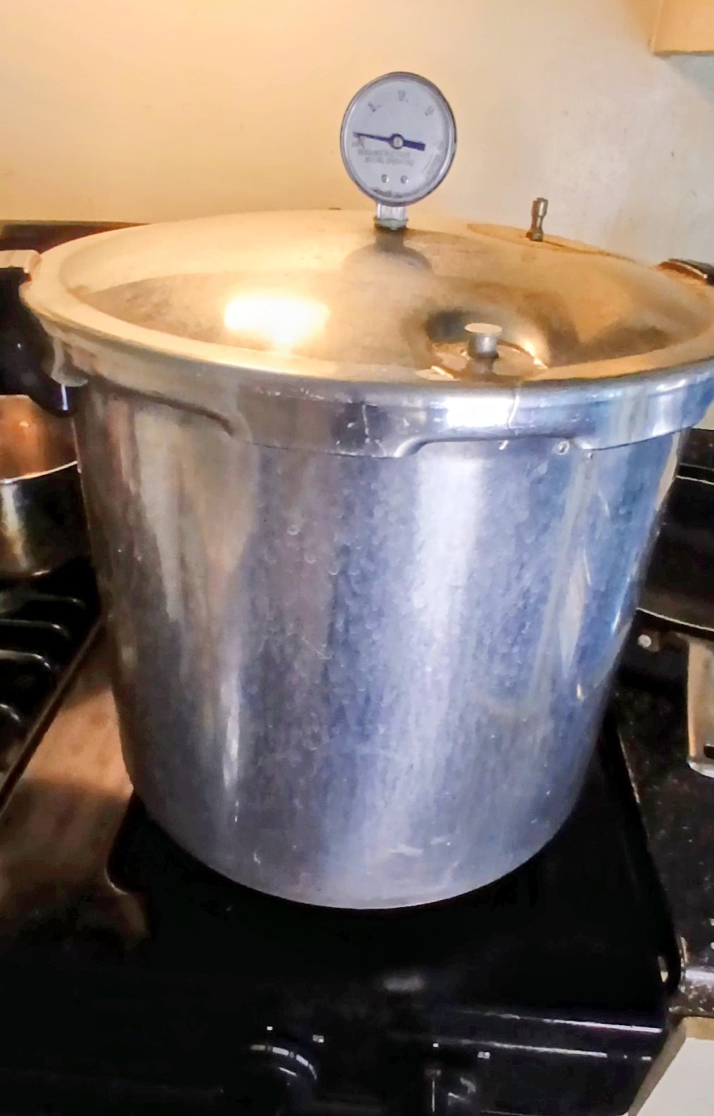 pressure cooker sitting on a stove top