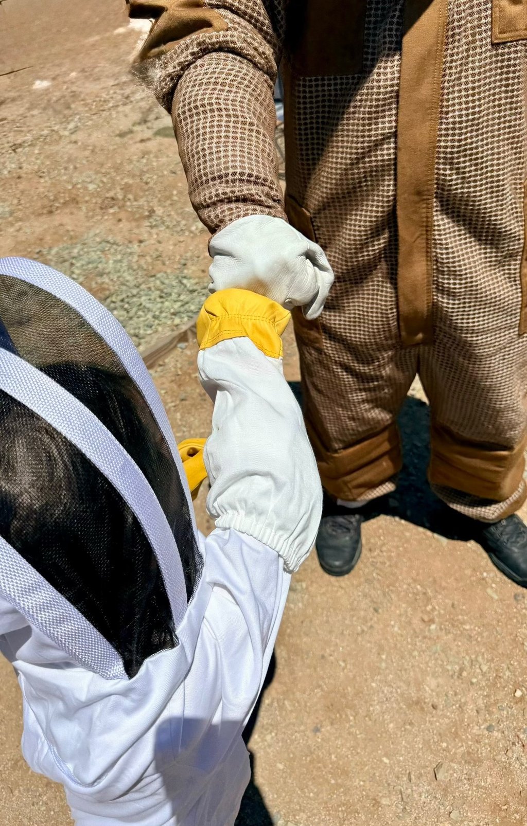 Bee & Wasp Treatment Services in Menifee CA Footprint Pest Management Family & Pet Friendly