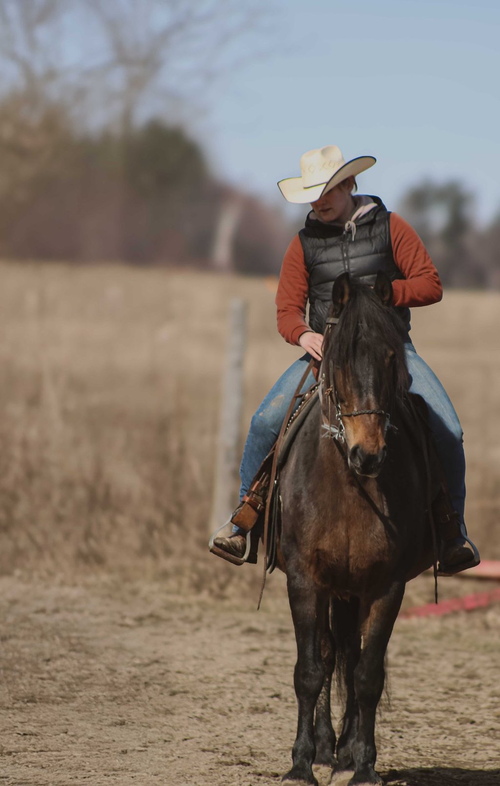 horseback riding lessons near montreal