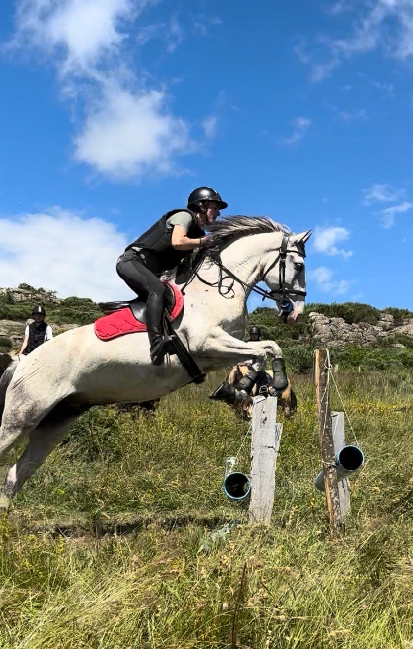 Saut d'obstacles à cheval à La Luc